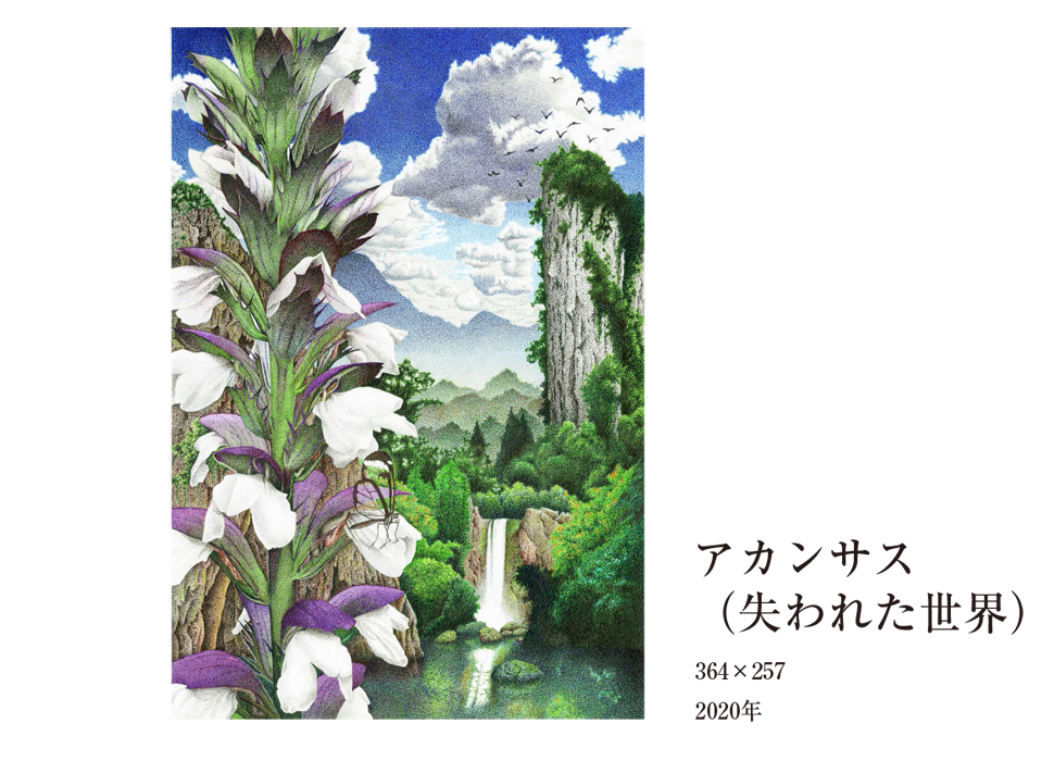 アカンサス(失われた世界)